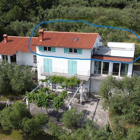 דירות אנקראן House Among Olive Trees With A Sea View 1 מראה חיצוני תמונה