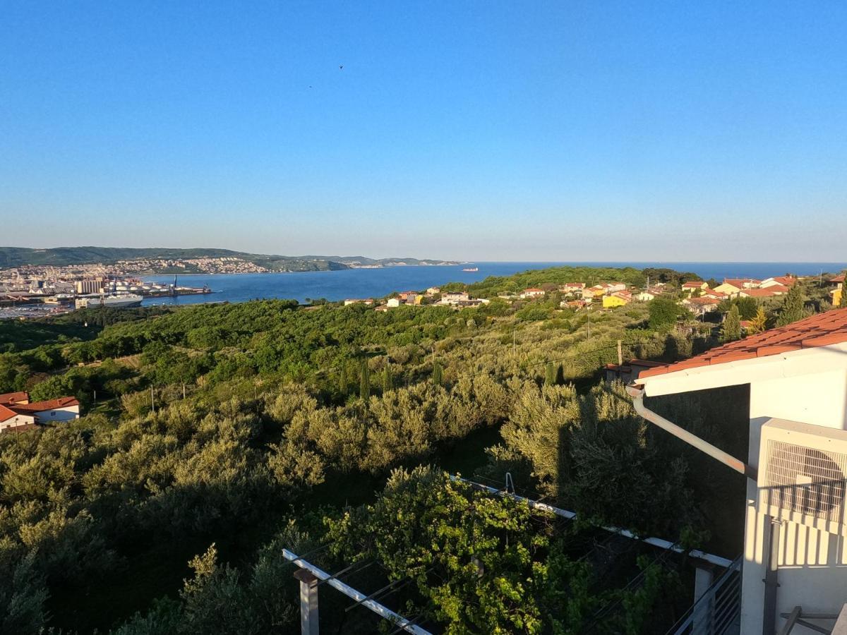 דירות אנקראן House Among Olive Trees With A Sea View 1 מראה חיצוני תמונה