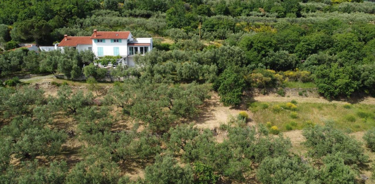 דירות אנקראן House Among Olive Trees With A Sea View 1 מראה חיצוני תמונה