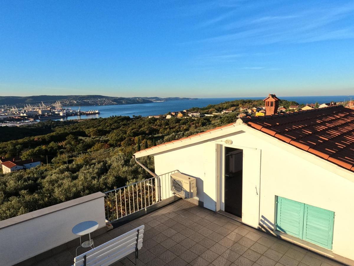 דירות אנקראן House Among Olive Trees With A Sea View 1 מראה חיצוני תמונה