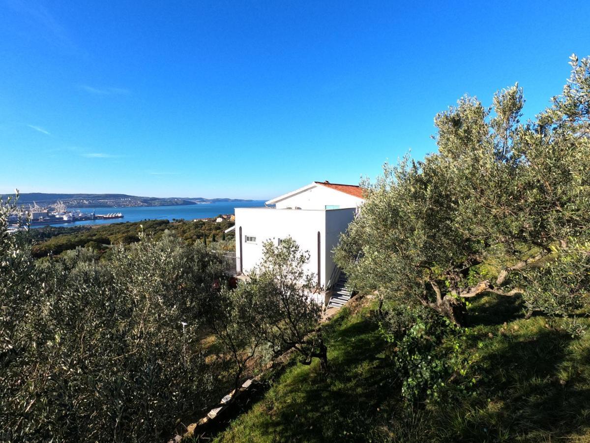 דירות אנקראן House Among Olive Trees With A Sea View 1 מראה חיצוני תמונה
